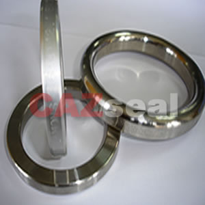 Ring Joint Gasket