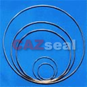 Metal O-Ring Gasket