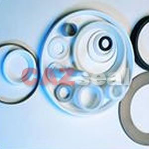 PTFE Gasket