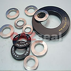 Disc Spring Washer